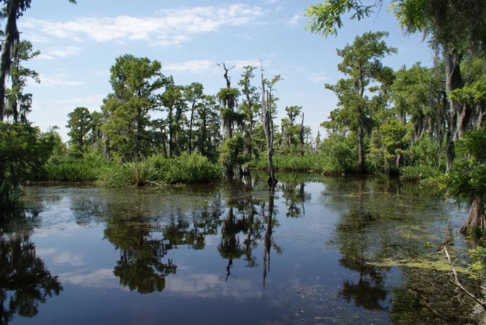 New Orleans: High Speed 16 Passenger Airboat Ride - The High-Speed Bayou Run Starts the Moment You Leave New Orleans