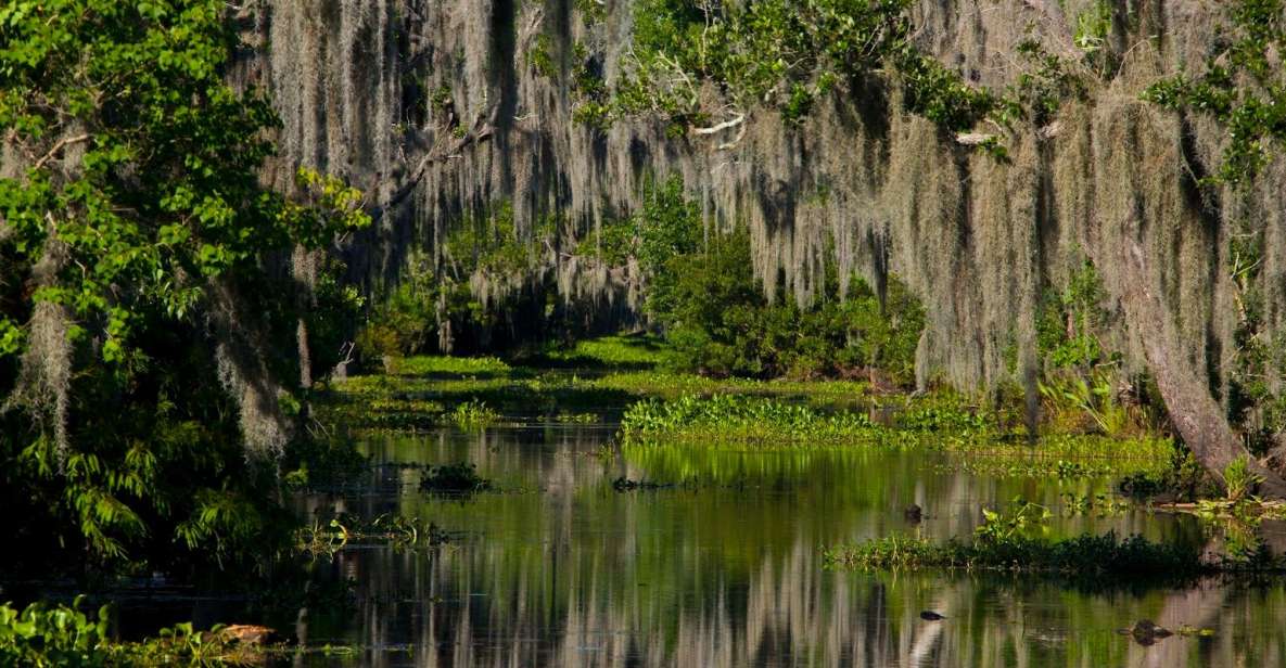New Orleans: High Speed 16 Passenger Airboat Ride - Stadium Seating and 35-MPH Swamp Power