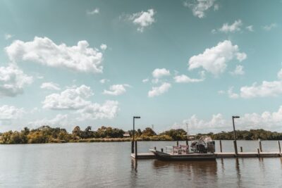 New Orleans: High Speed 16 Passenger Airboat Ride - Jean Lafitte Country: Why You’re Riding Here