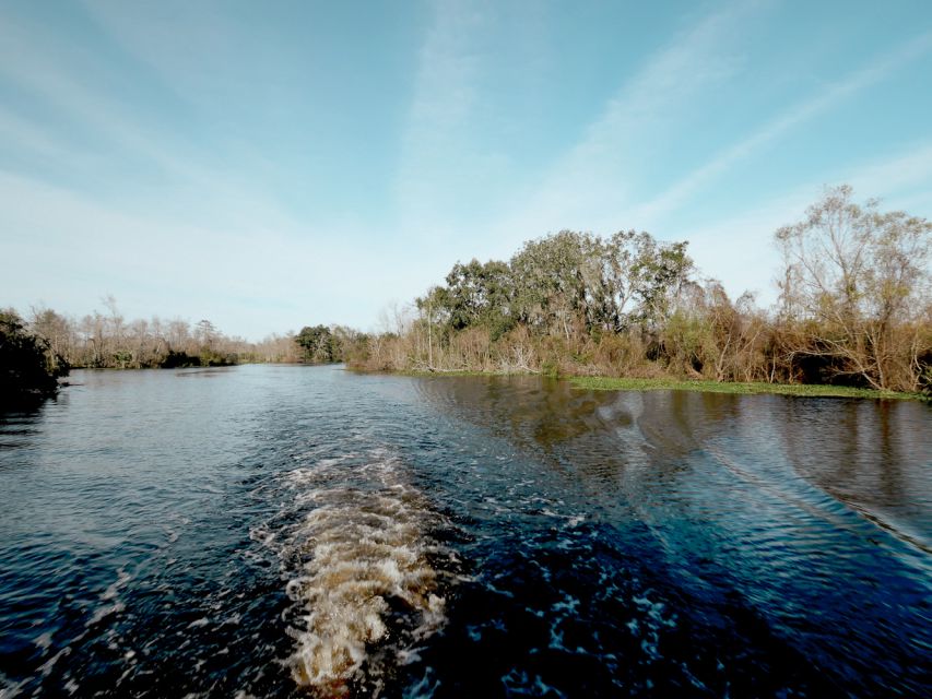 New Orleans: High Speed 16 Passenger Airboat Ride - Safety and Suitability: When This Tour Isn’t a Match