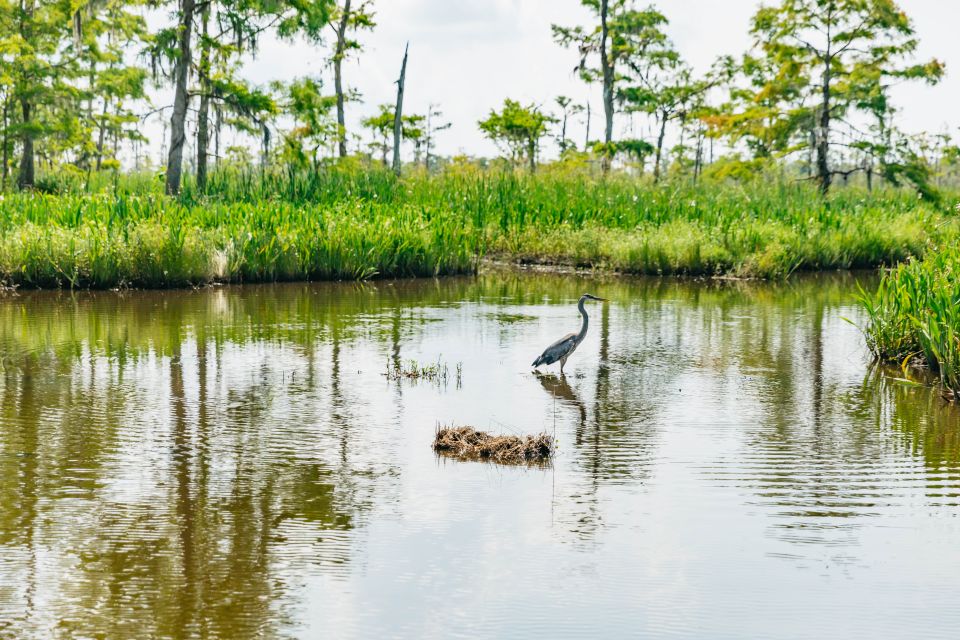 New Orleans: High Speed 9 Passenger Airboat Tour - What to wear and pack for a fast, windy, wet ride