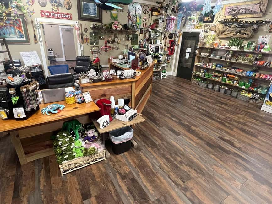 New Orleans Manchac Bayou Swamp Cruise W/ Optional Pick-Up - Should you book this tour?