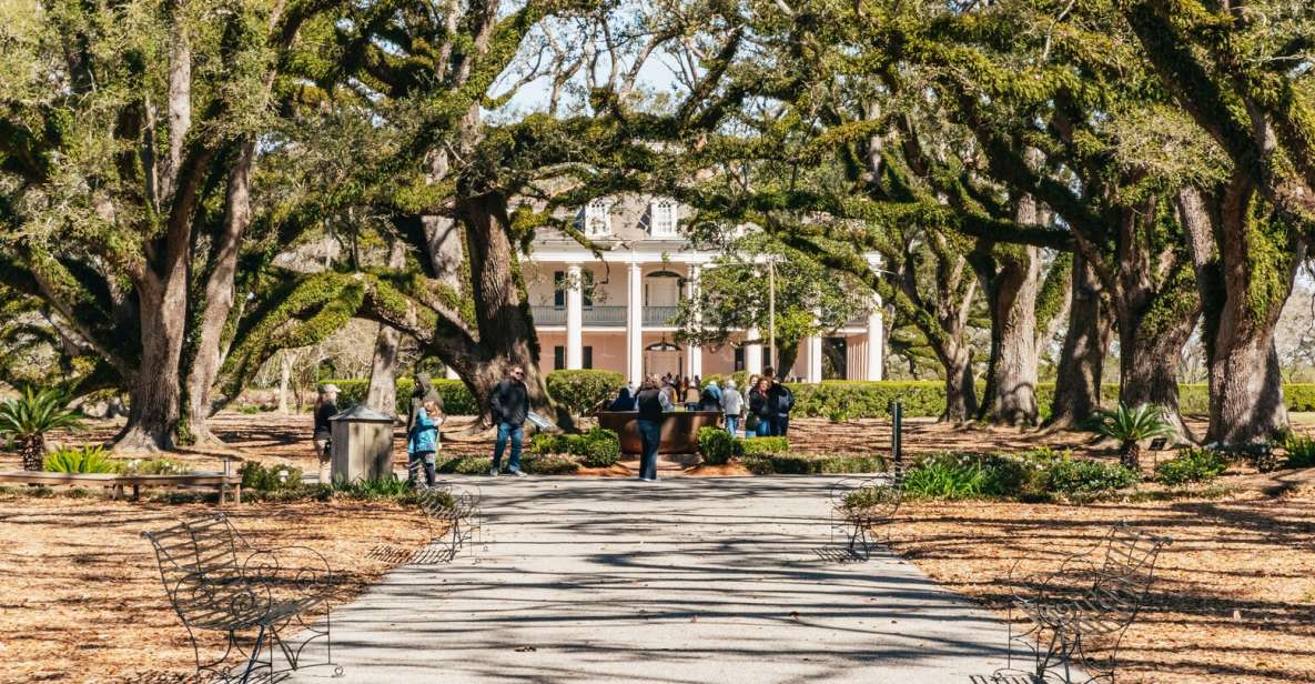 New Orleans: Oak Alley Plantation & Airboat Swamp Combo Tour - Barataria Basin airboat on the Jean Lafitte route: speed, wildlife, and open-boat reality