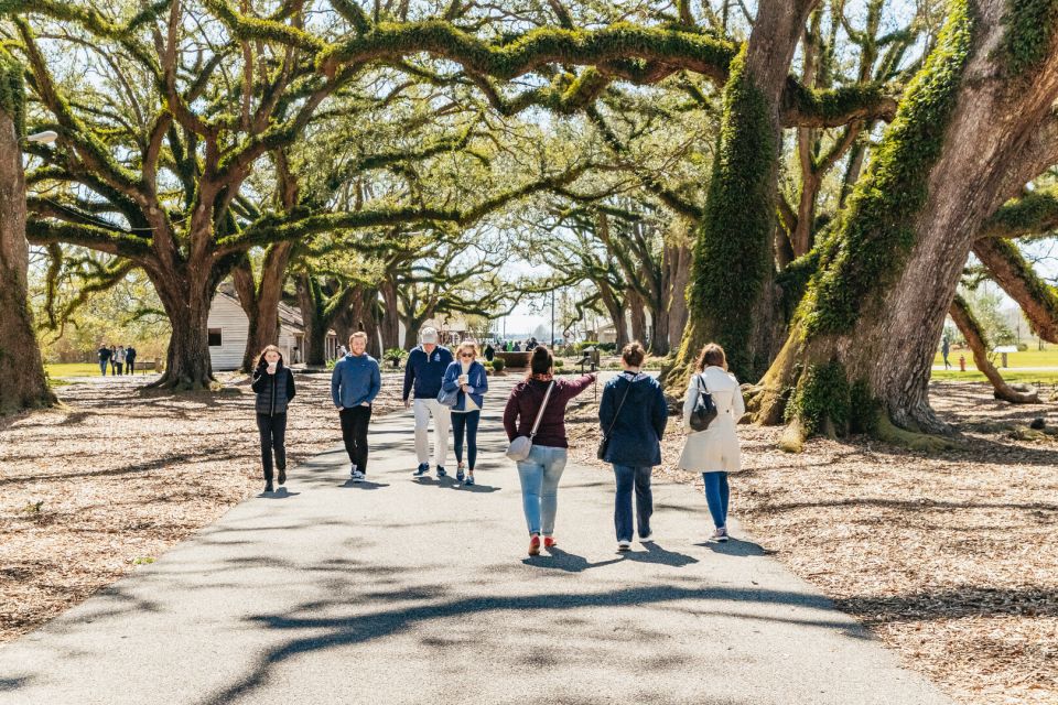 New Orleans: Oak Alley Plantation & Airboat Swamp Combo Tour - The wildlife moment: how captains turn a ride into a story