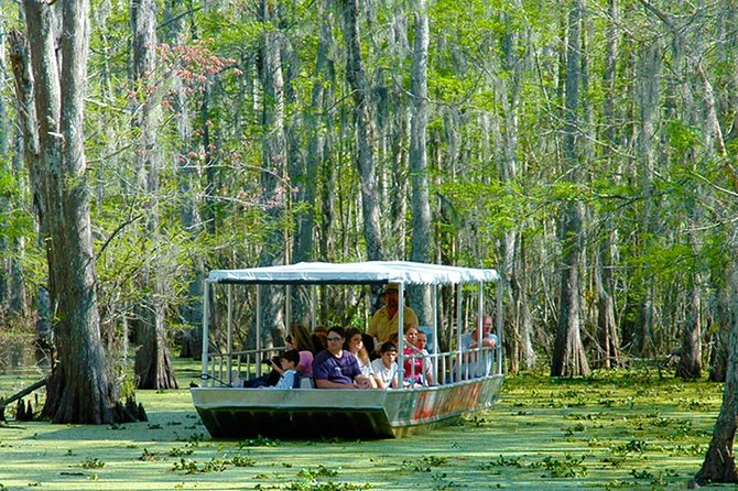 New Orleans Self-Transport Swamp and Bayou Boat Tour - Getting To Slidell: Self-Transport Turns It Into a True Road-Trip Day