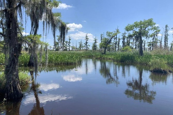New Orleans Small-Group Airboat Swamp Tour - What to bring and how to stay comfy in the swamp heat