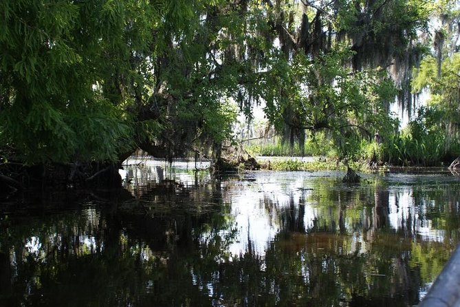 New Orleans Small-Group Airboat Swamp Tour - What makes the airboat ride feel different (and why it’s loud)