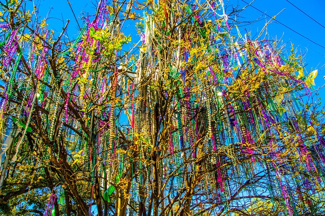 New Orleans Small-Group City Tour by Van - Lake Lawn Metairie: Understanding Above-Ground Burial Traditions