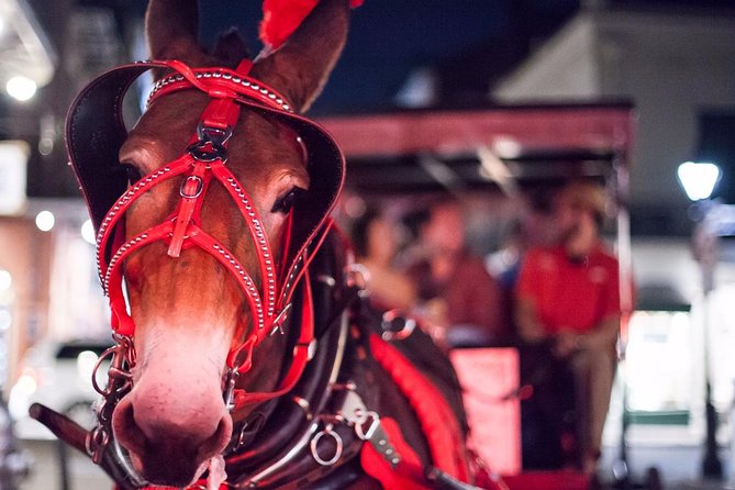 New Orleans Small-Group Haunted History Carriage Tour - Jackson Square: the 1700s time machine stop