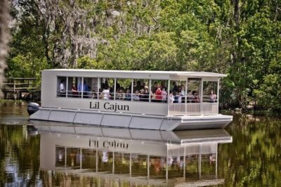 New Orleans Swamp and Bayou Alligator Tour - Barataria Preserve and Jean Lafitte: The Part That Gives the Swamp Real Context