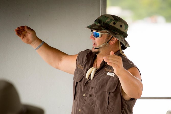 New Orleans Swamp and Bayou Alligator Tour - Wildlife Spotting: What You Can Expect and When You’re Most Likely to See Alligators