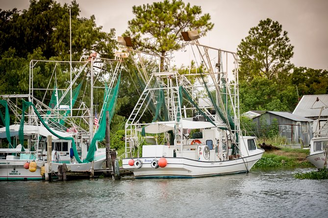 New Orleans Swamp and Bayou Alligator Tour - Group Size and Vibe: Who This Works For