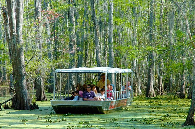 New Orleans Swamp and Bayou Boat Tour with Transportation - Timing and Seasons: When Honey Island Gives the Best Show