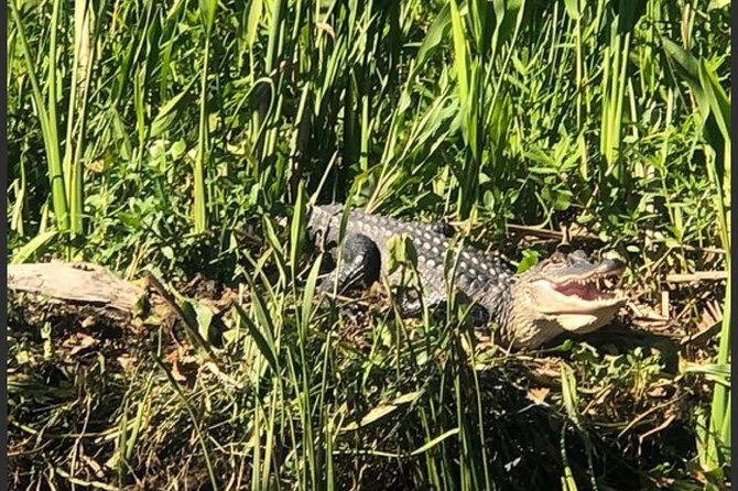 New Orleans Swamp Tour Boat Adventure - Getting to the start in Marrero (and why it matters)