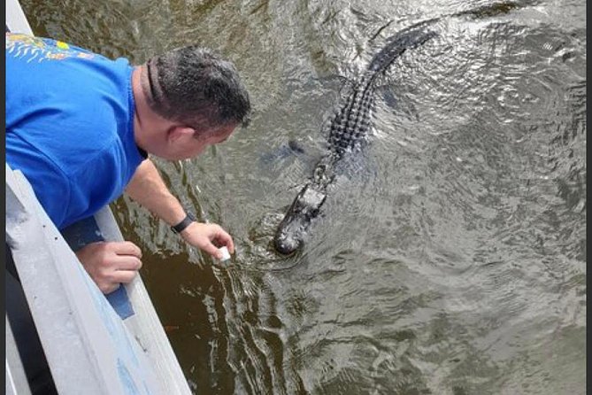 New Orleans Swamp Tour Boat Adventure - Weather reality: dress for the bayou, not the forecast
