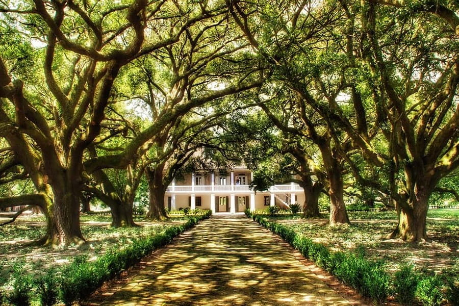 New Orleans: Whitney Plantation Tour with Transportation - Whitney Plantation hits hard, in the right way