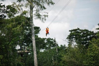 New Orleans Zipline Swamp Tour - Key points before you go