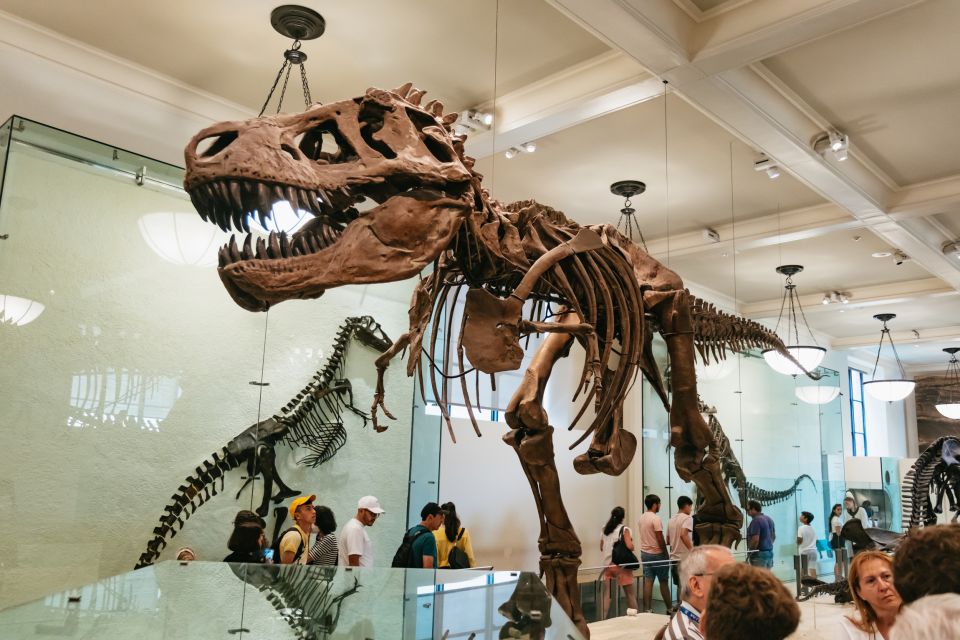 New York City: American Museum of Natural History Ticket - Key highlights at a glance