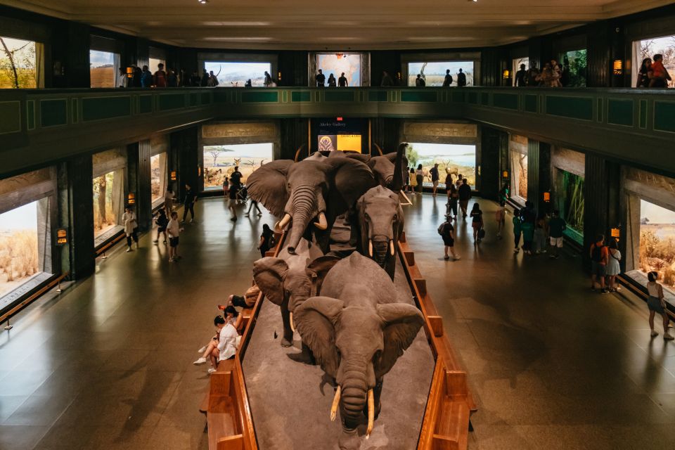 New York City: American Museum of Natural History Ticket - What you actually get with a one-day AMNH ticket