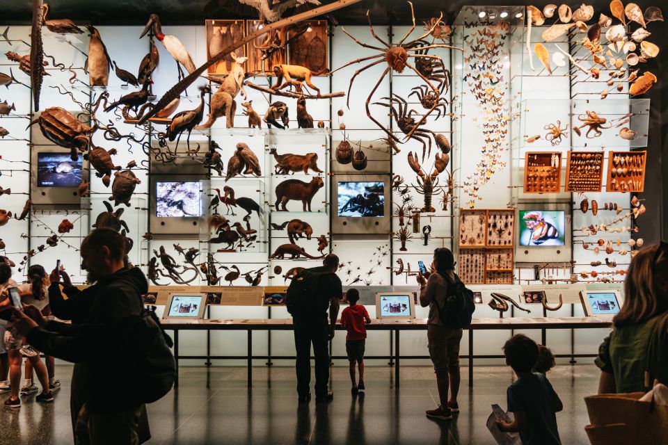 New York City: American Museum of Natural History Ticket - Start smart: building a simple route through 40+ halls