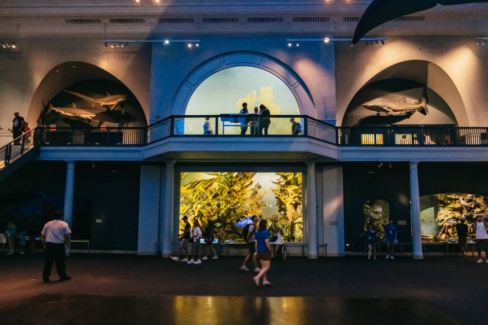 New York City: American Museum of Natural History Ticket - Rose Center for Earth and Space: your calm middle of the day