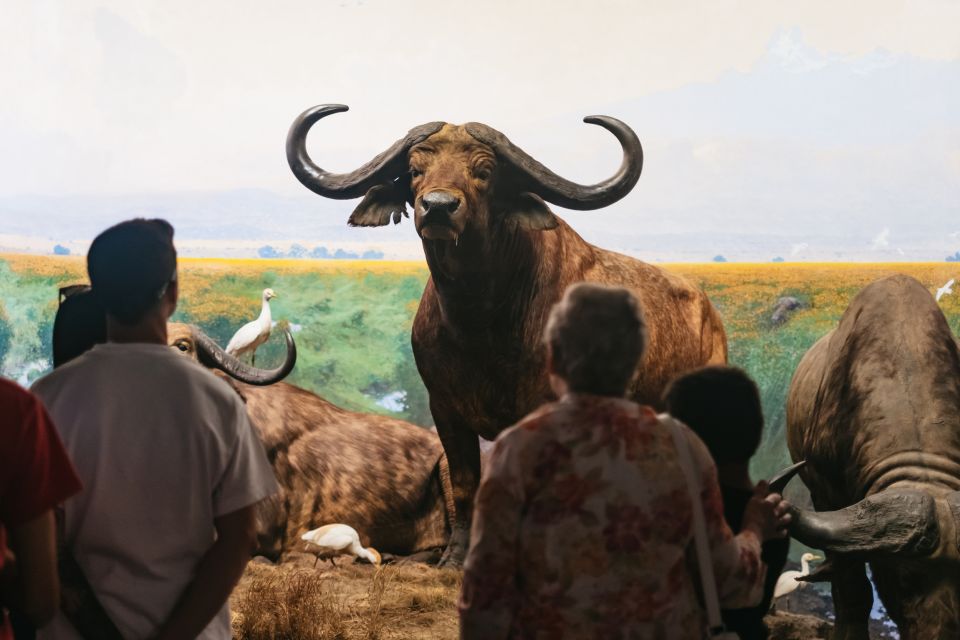 New York City: American Museum of Natural History Ticket - Richard Gilder Center: planetarium, biodiversity, and ocean life