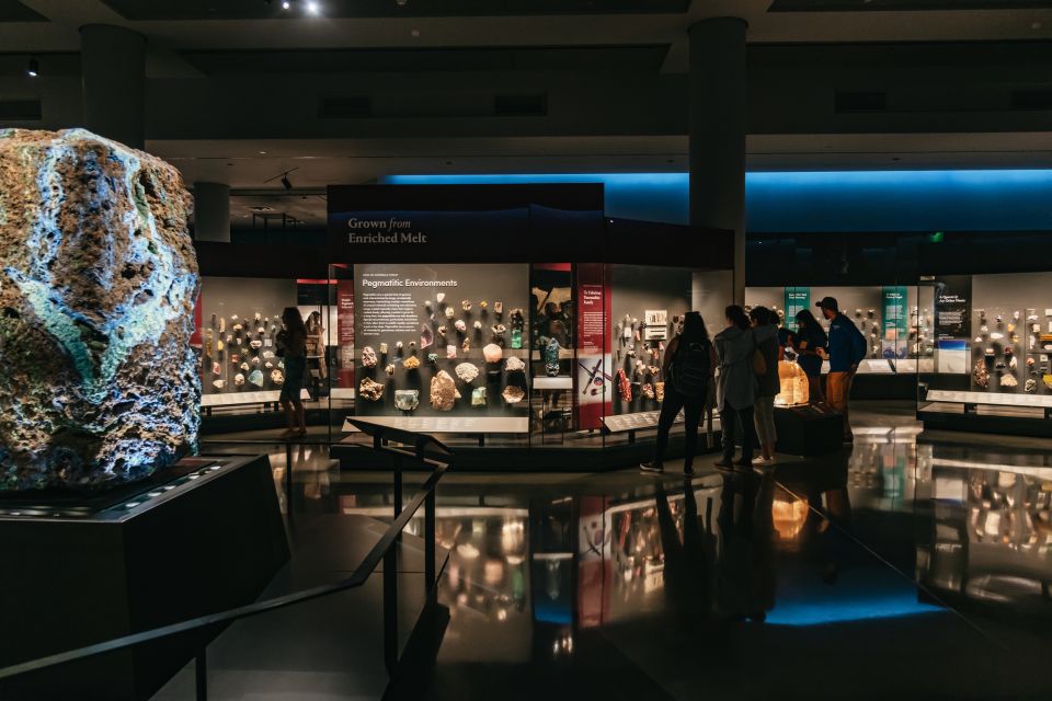 New York City: American Museum of Natural History Ticket - The ticketed exhibitions: what you should add (and what you can skip)