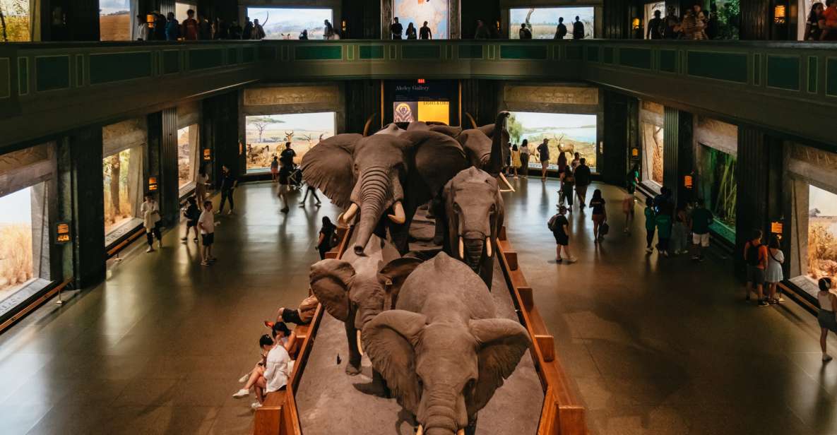 New York City: American Museum of Natural History Ticket - Entering fast: timed entry, your barcode, and avoiding the bottleneck