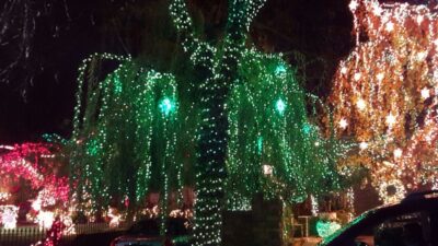 New York City: Dyker Heights Christmas Lights Tour - Why Dyker Heights goes full production every December