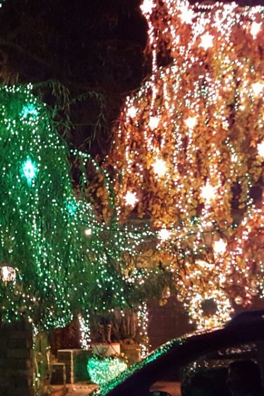New York City: Dyker Heights Christmas Lights Tour - Price and value: what $46 buys you at night
