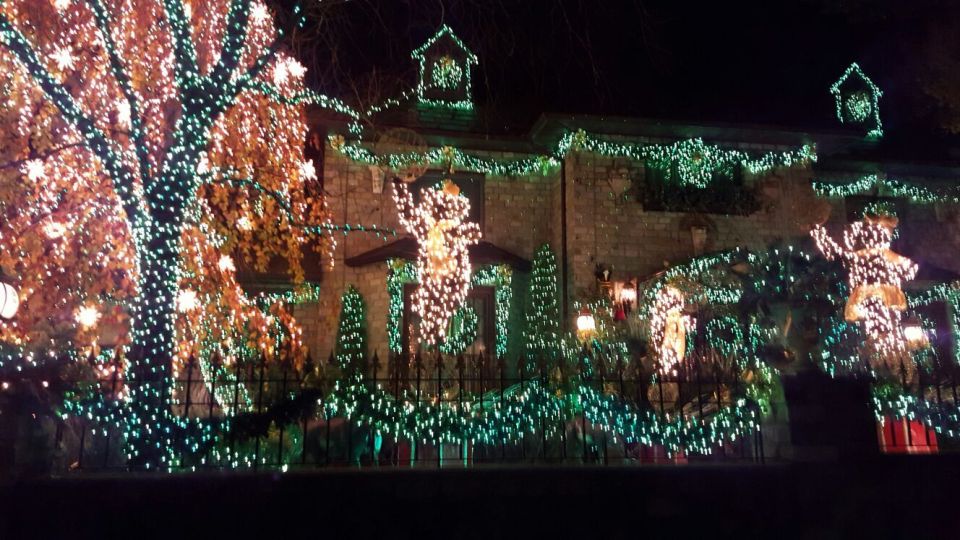 New York City: Dyker Heights Christmas Lights Tour - Who this Dyker Heights lights tour is best for