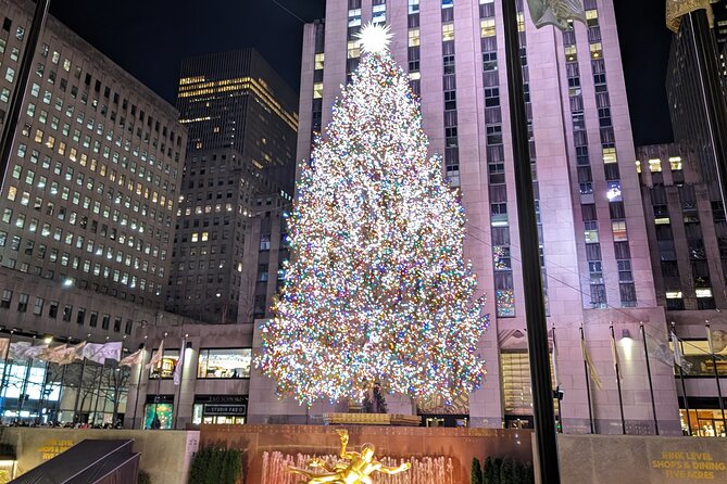New York City Holiday Lights Tour - Key things I’d zero in on
