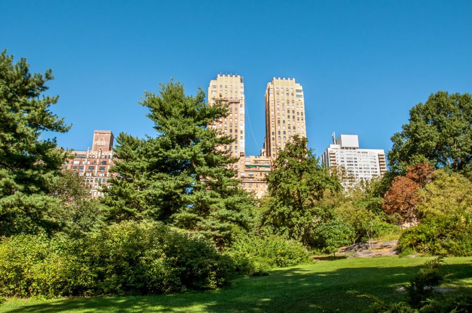 New York City: Private Tour with a Local Guide - Central Park Edges: Views, Walk Logic, and a Break from the Grid