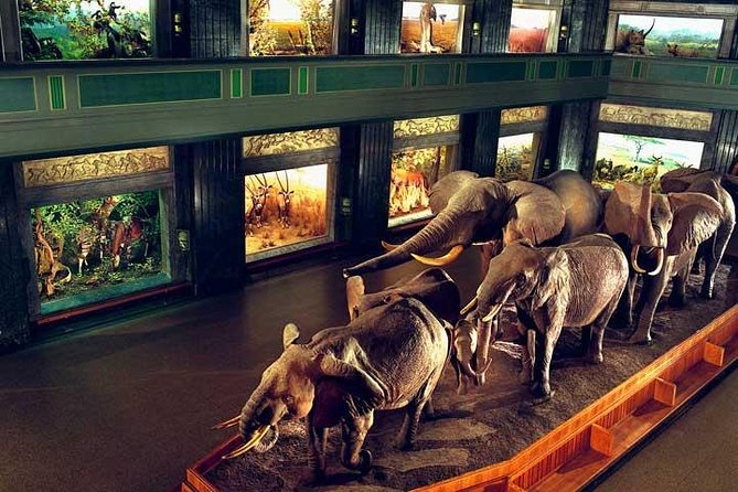 New York CityPASS® - Intrepid Museum: Space Shuttle Pavilion, the Submarine Growler, and More