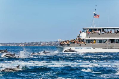 Newport Beach: 2-Hour Whale Watching Tour - Two Hours on the Water: How the Newport–Laguna Route Feels