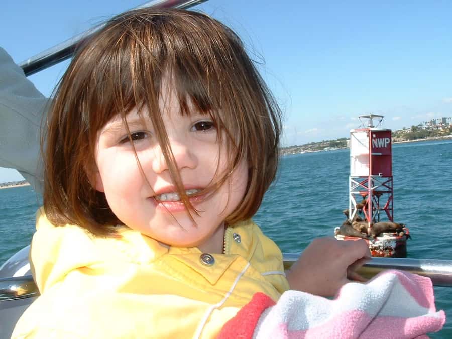 Newport Beach: 2-Hour Whale Watching Tour - Should You Book This Newport Beach Whale Watching Tour?