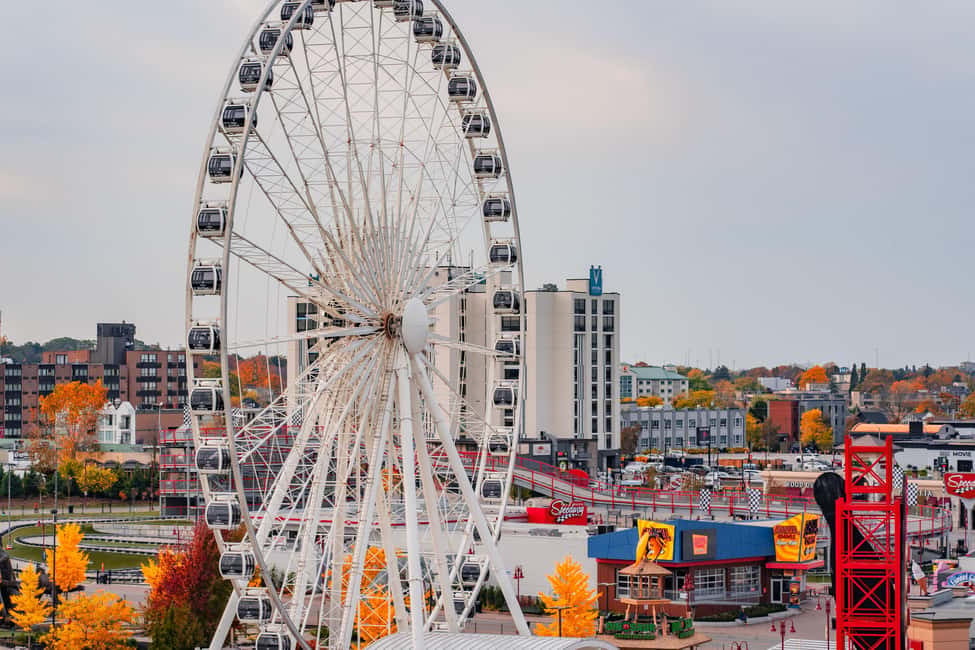 Niagara Falls Tour with Skip the Line Cruise & Maple Tasting - Coaches, guides, and timing: what you’re really paying for