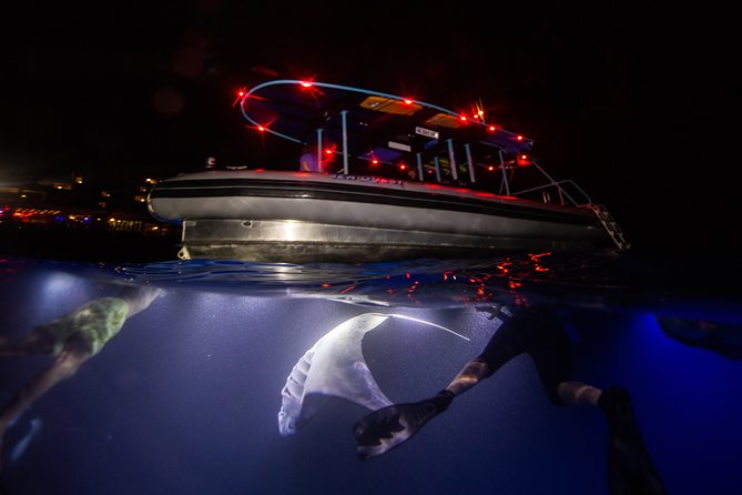 Night Manta Ray Experience - Sea Quest Hawaii Check-In: The Start of Your Night Swim