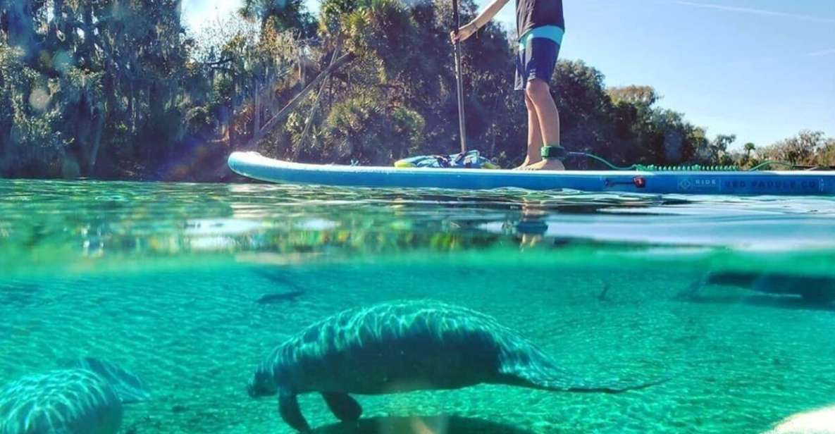 North Miami: Nature & Island Exploration on SUP/Kayak - The Island Break: Snacks, Drinks, and a Swim Pause