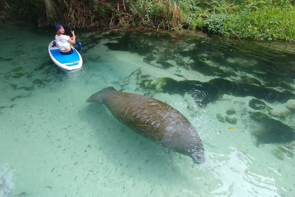 North Miami: Nature & Island Exploration on SUP/Kayak - What to Bring (So You’re Ready for the Water)