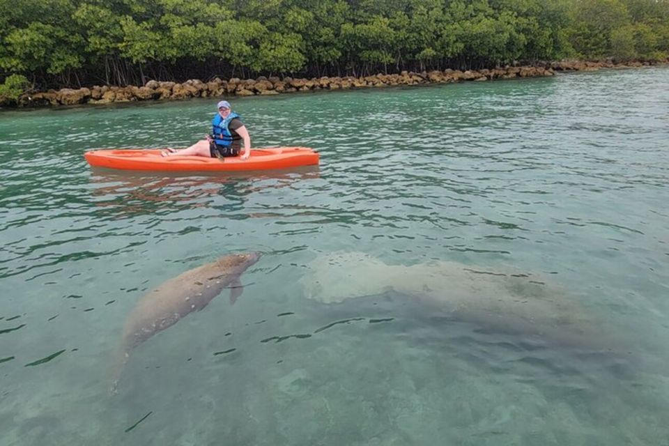 North Miami: Nature & Island Exploration on SUP/Kayak - Should You Book This North Miami SUP/Kayak Tour?