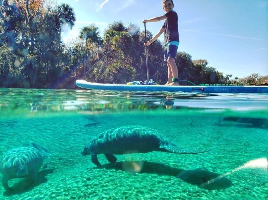 North Miami: Nature & Island Exploration on SUP/Kayak - Osprey Triangle Canals: Wildlife Watching Without the Pressure