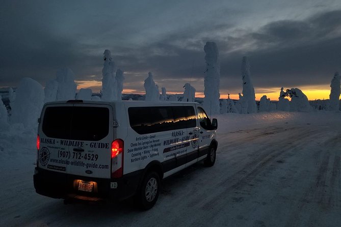 Northern Lights & Arctic Circle Tour - Comfort and the reality check: you’re riding a remote winter road