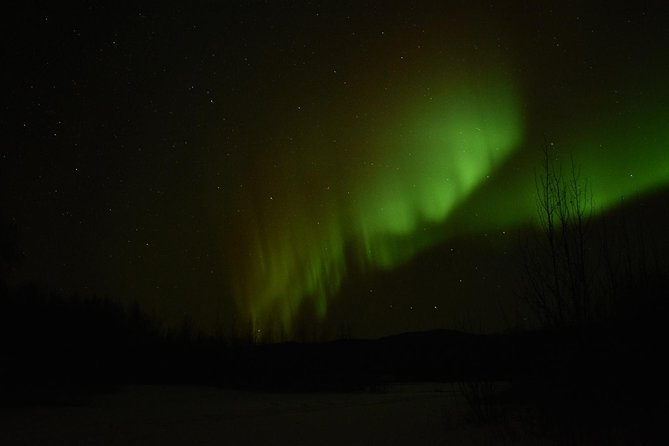 Northern Lights & Arctic Circle Tour - Food, warmth, and what the inclusions do for your day