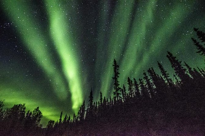Northern Lights & Arctic Circle Tour - Timing: why the late start can matter