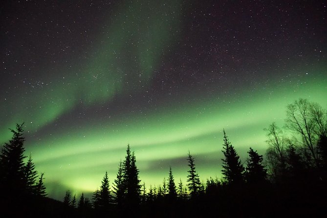 Northern Lights & Arctic Circle Tour - Price and value: is $330 fair for what you get?
