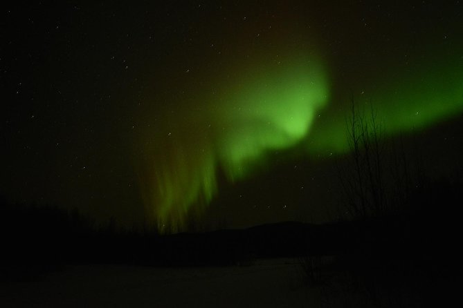 Northern Lights & Arctic Circle Tour - Guides make or break the aurora part