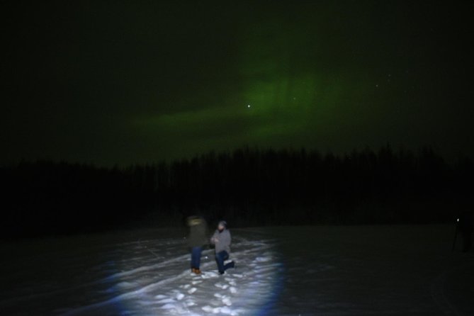 Northern Lights & Chena Hot Springs Tour - Key Details I’d Use to Plan Your Night