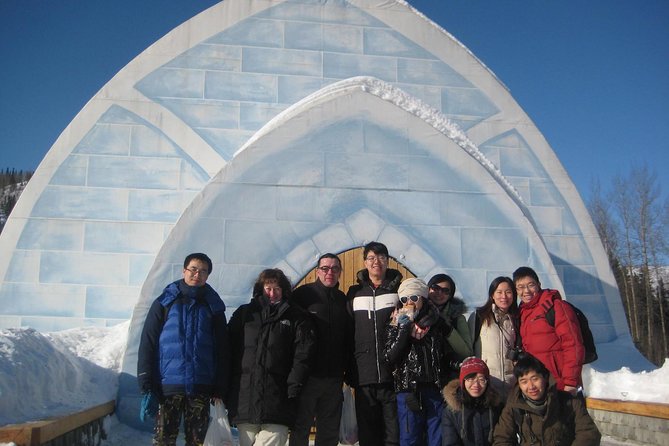 Northern Lights & Chena Hot Springs Tour - Aurora Ice Museum: Ice Sculptures, the Ice Bar, and a Short Guided Stop