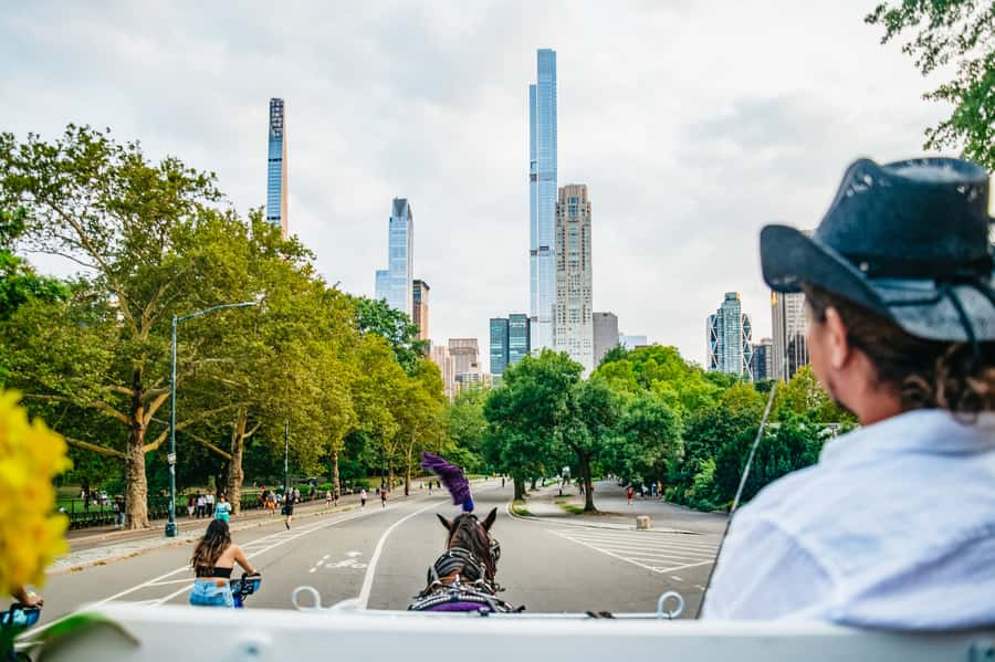 NYC: Guided Central Park Horse Carriage Ride - Horses, treats, and respect: the experience side you can actually notice
